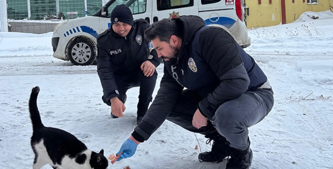 Erzincan'da polisler, sahipsiz hayvanlar için belirli noktalara yiyecek bıraktı