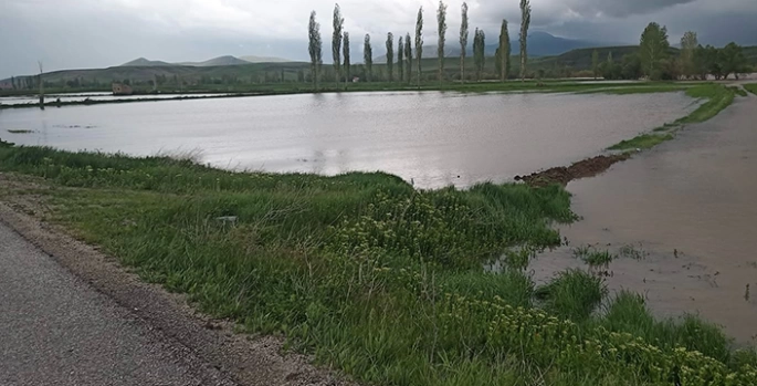 Erzincan’da sağanak sonrası bazı tarım arazileri su altında kaldı