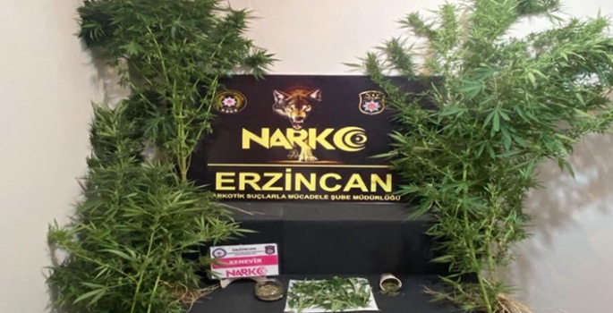Erzincan'da uyuşturucu operasyonunda 1 kişi tutuklandı 