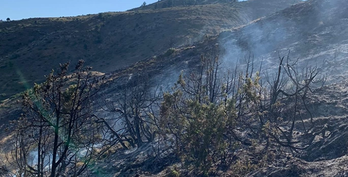 Erzurum'da çıkan örtü yangını söndürüldü