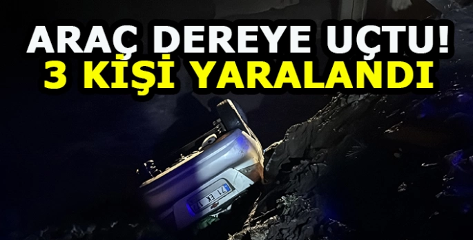 Erzurum'da dereye yuvarlanan araçtaki 3 kişi yaralandı