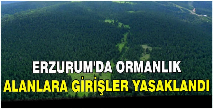Erzurum'da ormanlık alanlara girişler yasaklandı