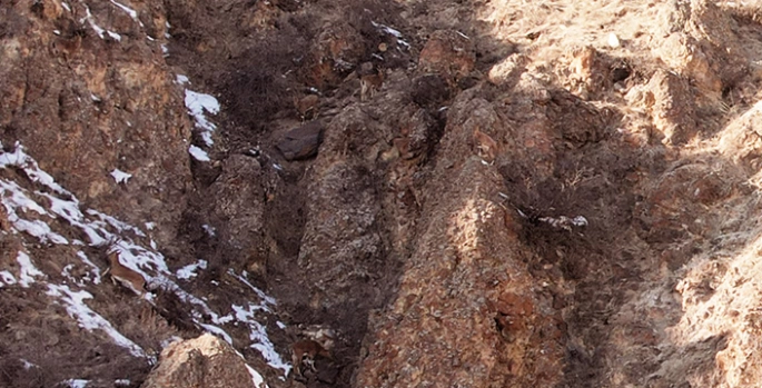 Erzurum'da sürü halindeki dağ keçileri dronla görüntülendi