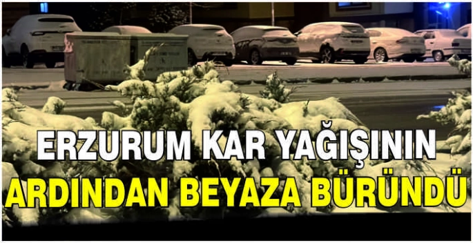 Erzurum kar yağışının ardından beyaza büründü