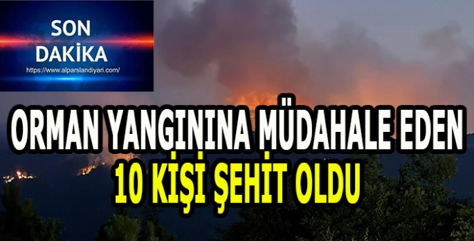 Eskişehir'deki orman yangınına müdahale eden 10 kişi şehit oldu