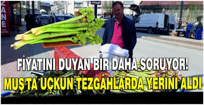 Fiyatını duyan bir daha soruyor! Muş’ta uçkun tezgâhlarda yerini aldı