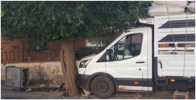Freni tutmayan kamyonet ağaca çarptı
