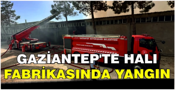Gaziantep'te halı fabrikasında yangın