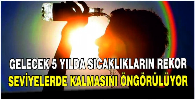 Gelecek 5 yılda sıcaklıkların rekor seviyelerde kalmasını öngörülüyor