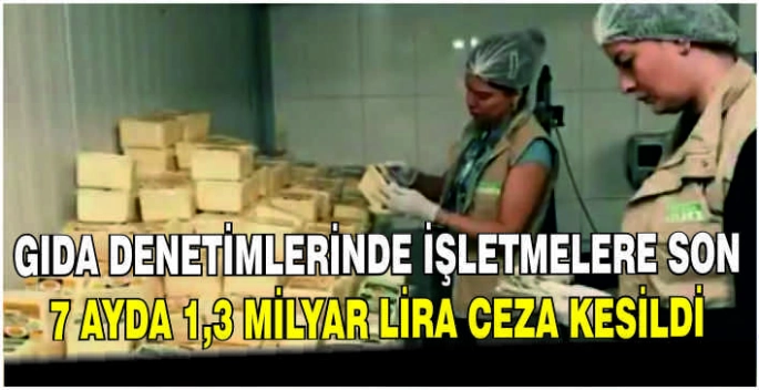 Gıda denetimlerinde işletmelere son 7 ayda 1,3 milyar lira ceza kesildi