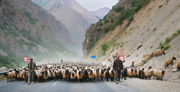 Göçerler Hakkâri’ye ulaştılar 