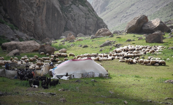 Göçerler yazı geçirmek için Van ve Hakkari'deki serin yaylaları tercih ediyor