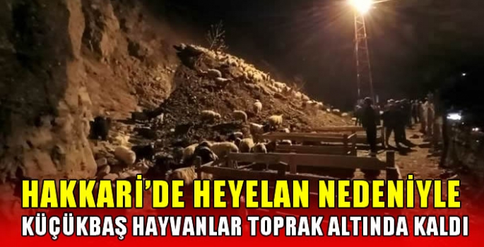 Hakkari'de heyelan nedeniyle küçükbaş hayvanlar toprak altında kaldı