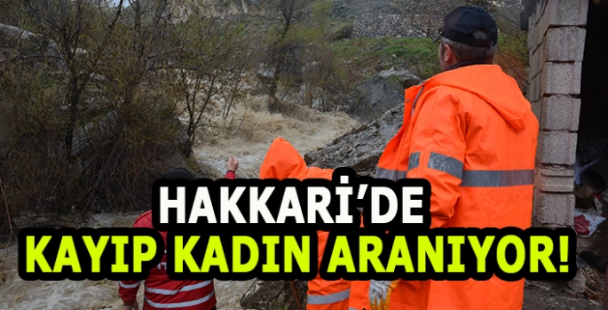 Hakkari'de kaybolan kadın için arama çalışması başlatıldı