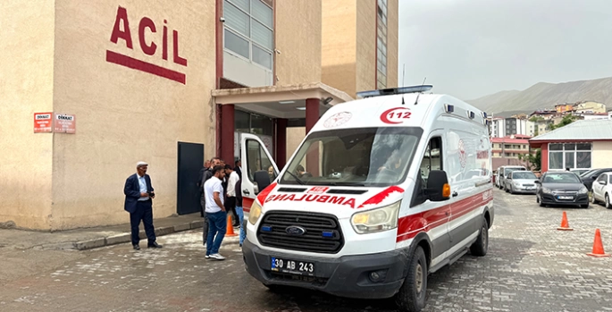 Hakkari'de öğrenci servisinin devrilmesi sonucu 8 kişi yaralandı