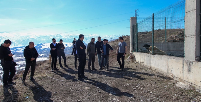 Hakki Valisi Çelik Sokak hayvanları için kurulacak doğal yaşam alanlarını inceledi