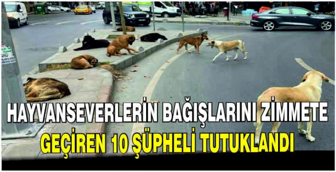Hayvanseverlerin bağışlarını zimmete geçiren 10 şüpheli tutuklandı