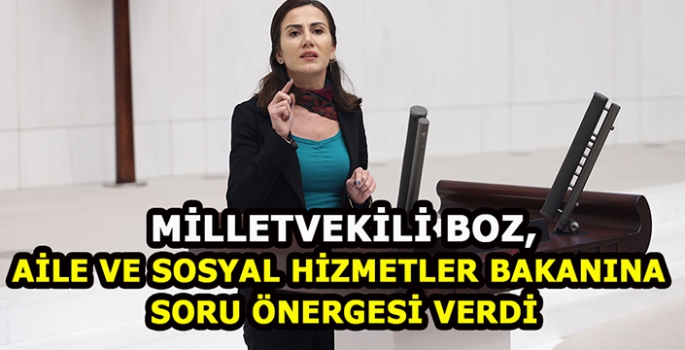 HEDEP Muş Milletvekili Boz Meclise soru önergesi verdi
