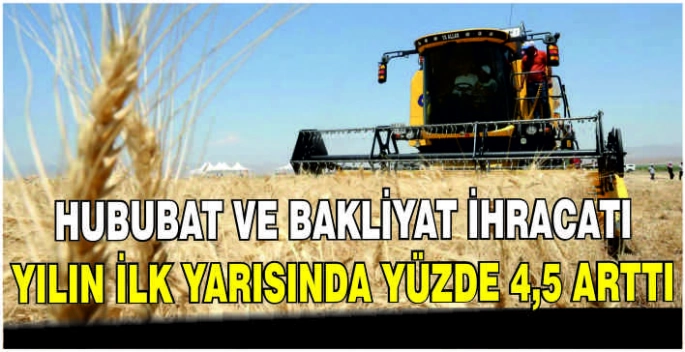 Hububat ve bakliyat ihracatı yılın ilk yarısında yüzde 4,5 arttı