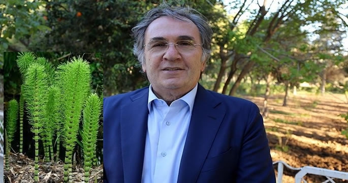 İbrahim Saraçoğlu Japonların en sevdiği bitkiyi açıkladı!