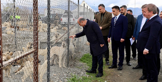 İçişleri Bakan Yardımcısı Aktaş Erzincan’da sahipsiz hayvanların yaşam alanını inceledi