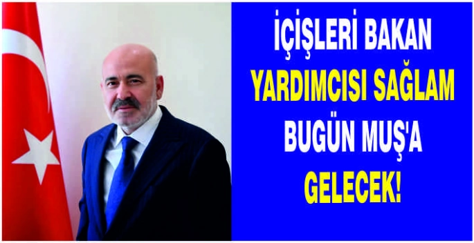 İçişleri Bakan Yardımcısı Mehmet Sağlam bugün Muş'a gelecek