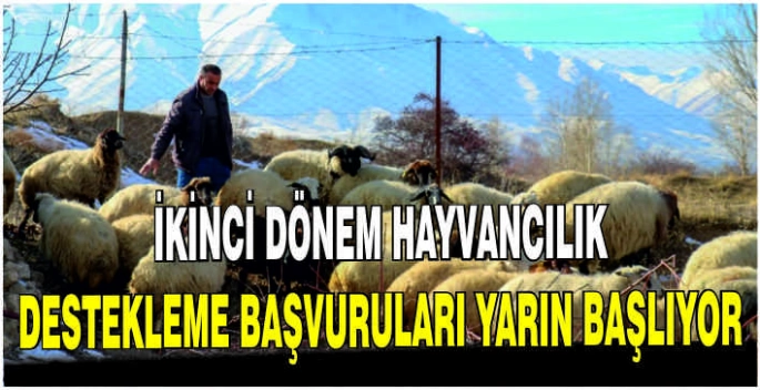 İkinci dönem hayvancılık destekleme başvuruları yarın başlıyor