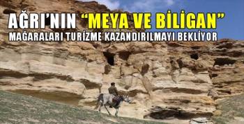Ağrı'nın 