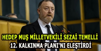HEDEP Muş Milletvekili Sezai Temelli 12. Kalkınma Planı'nı eleştirdi