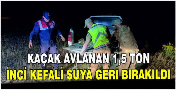 Kaçak avlanan 1,5 ton inci kefali suya geri bırakıldı
