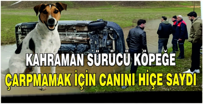 Kahraman sürücü köpeğe çarpmamak için canını hiçe saydı