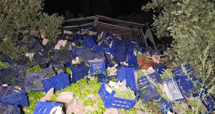 Kamyon devrildi, 10 ton biber etrafa dağıldı