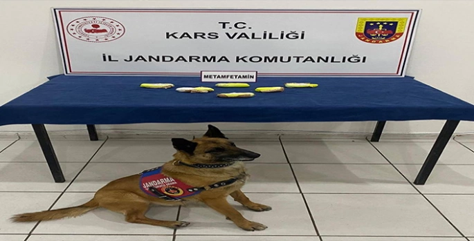 Kars'ta araçlarında uyuşturucu bulunan 2 zanlı tutuklandı