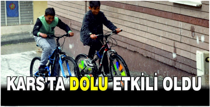 Kars'ta dolu etkili oldu