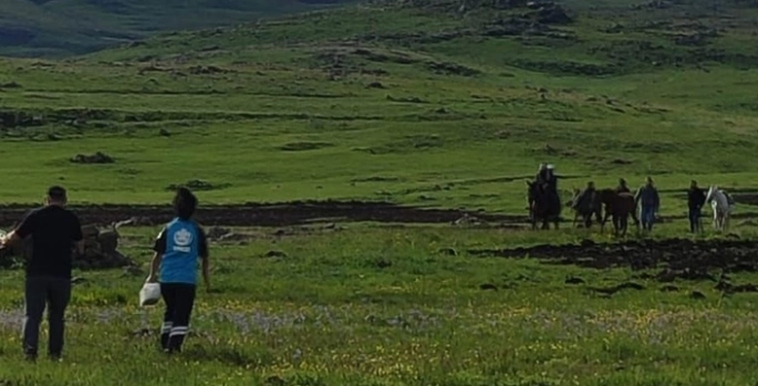Kars'ta hayvan otlatırken kayalıklardan düşen çoban yaralandı