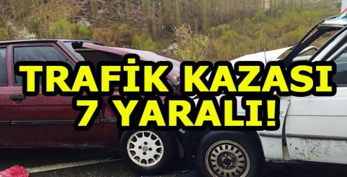 Kars'ta iki otomobilin çarpıştığı kazada 7 kişi yaralandı