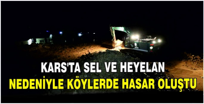 Kars'ta sel ve heyelan nedeniyle köylerde hasar oluştu