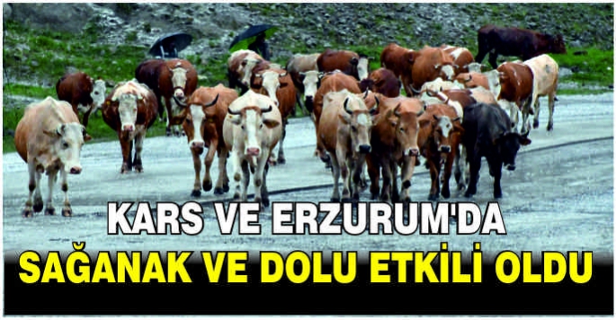 Kars ve Erzurum'da sağanak ve dolu etkili oldu