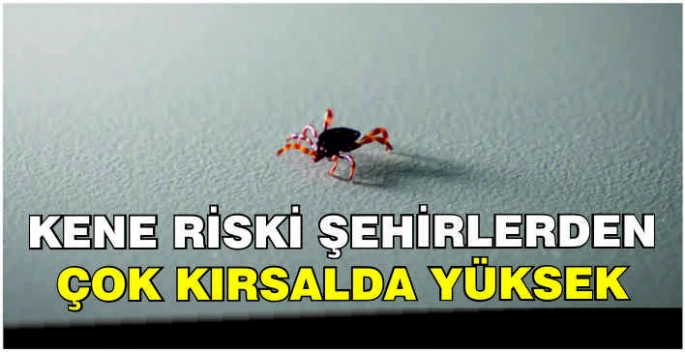 Kene riski şehirlerden çok kırsalda yüksek