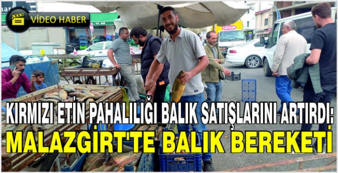 Kırmızı etin pahalılığı balık satışlarını artırdı: Malazgirt’te balık bereketi