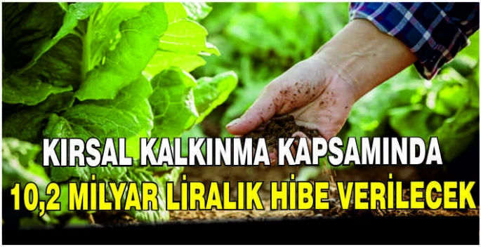 Kırsal kalkınma kapsamında 10,2 milyar liralık hibe verilecek