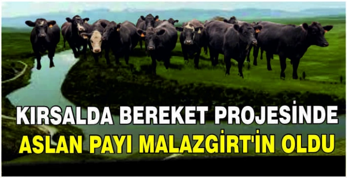 Kırsalda Bereket projesinde aslan payı Malazgirt’in oldu