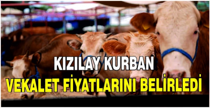 Kızılay kurban vekalet fiyatlarını belirledi