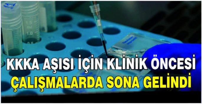 KKKA aşısı için klinik öncesi çalışmalarda sona gelindi