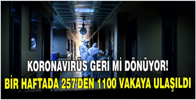 Koronavirüs geri mi dönüyor: Bir haftada 257'den 1100 vakaya ulaşıldı