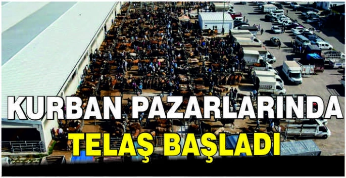 Kurban pazarlarında telaş başladı