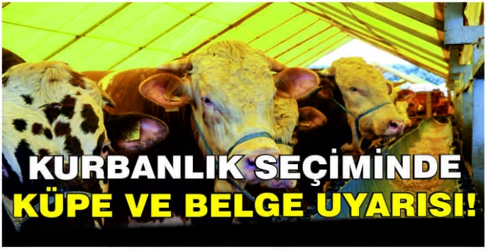Kurbanlık seçiminde küpe ve belge uyarısı!