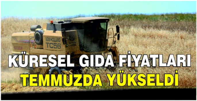 Küresel gıda fiyatları temmuzda yükseldi