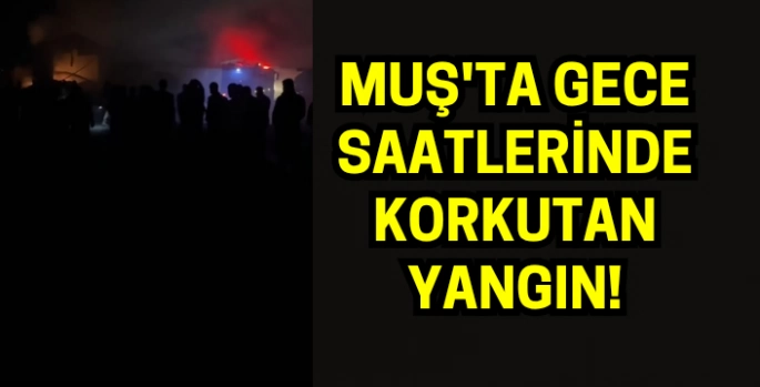 Lastikçide korkutan yangın: Muş girişinde panik anları!