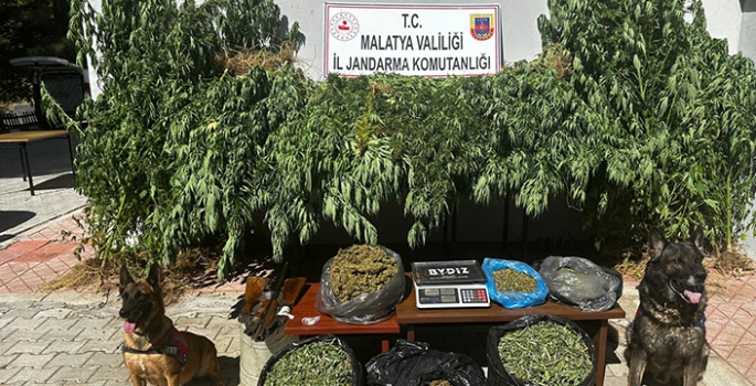Malatya'da uyuşturucu operasyonunda 2 şüpheli gözaltına alındı